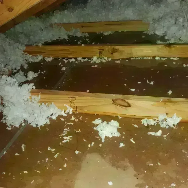 Attic Water Damage in Morrow, OH