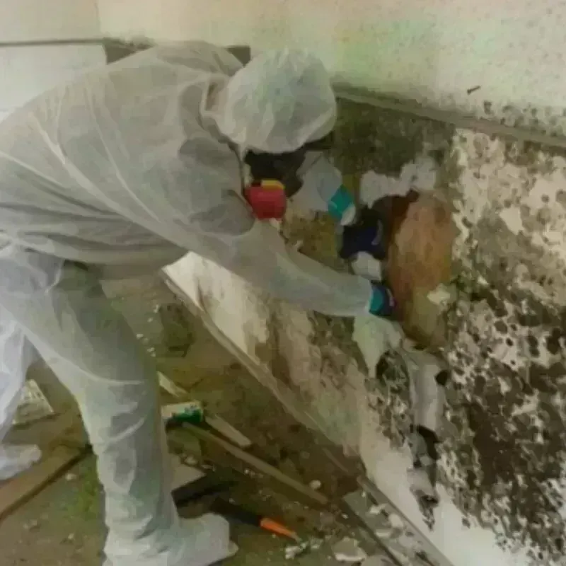 Mold Remediation and Removal in Morrow, OH