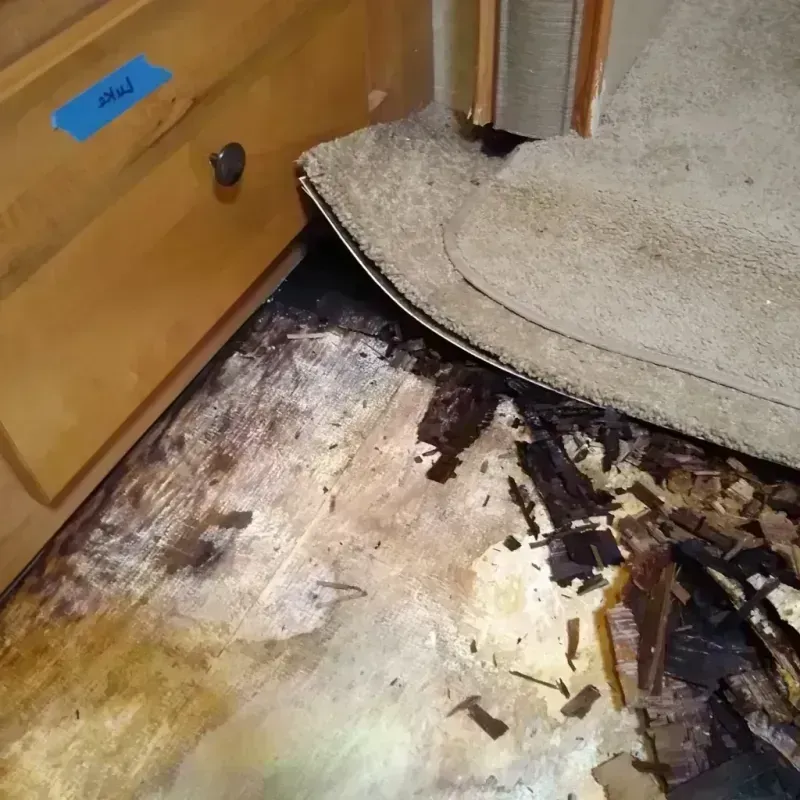 Wood Floor Water Damage in Morrow, OH